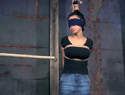 Blind folded gal gets punished with soreness outsert an sandbar basement