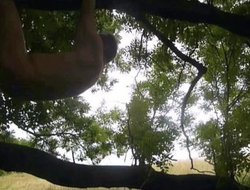 383 redbube nackter Mann klettert oeffentlich draussen im Wald auf Baum